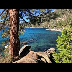 Meet your Posher, Morgan